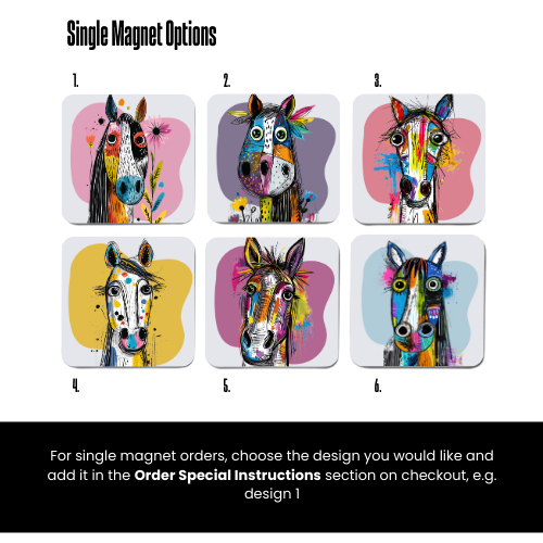 Colourful Quirky Horse Magnets