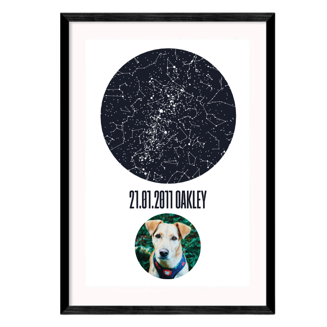 A star map with constellations that has been personalised with a dog's name, birth date and photograph. 