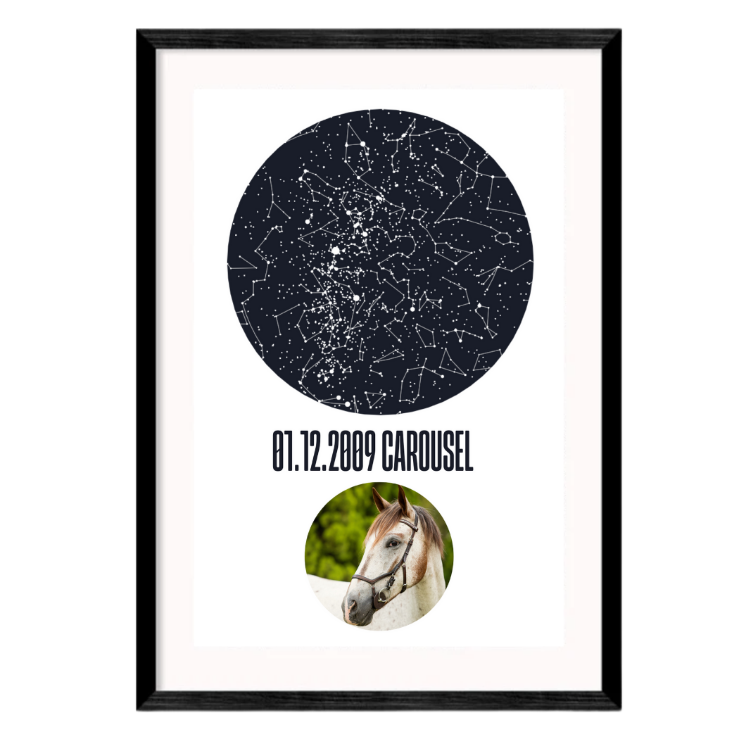 Personalised Star Map (Horse) With Constellations