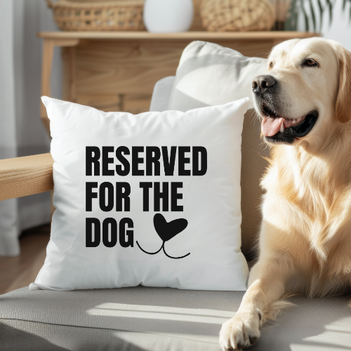 Dog sitting next to a pillow with 'Reserved for the Dog' text in a home setting