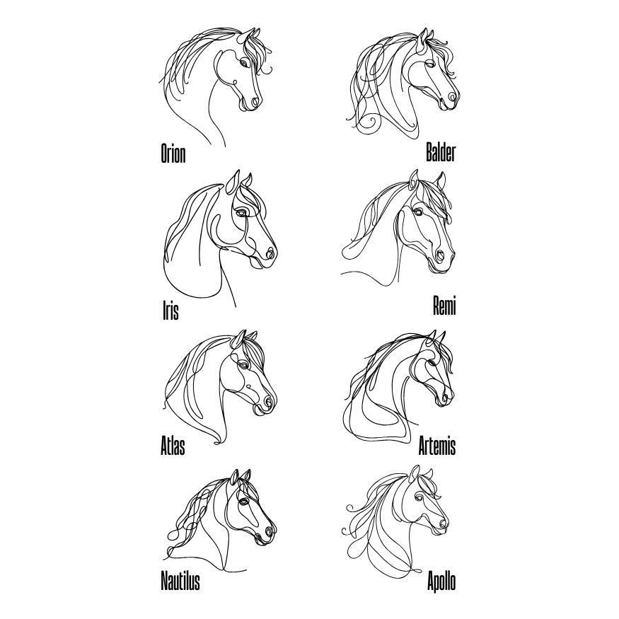 Personalised Star Map (Horse) With Constellations